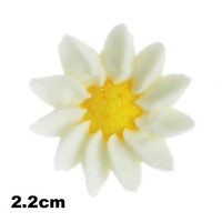 Mini Daisy 22mm Hangsell (12pk)