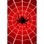 Spiderman Web ( Box 96 )