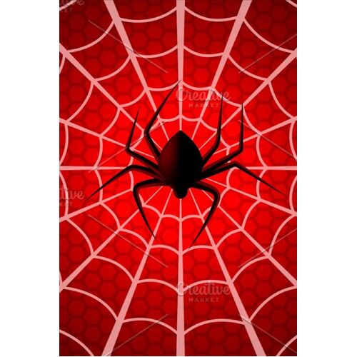 Spiderman Web ( Box 96 )